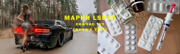 сатива Абинск