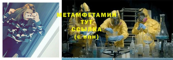 сатива Абинск