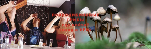 сатива Абинск