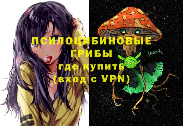 мяу мяу мука Абдулино