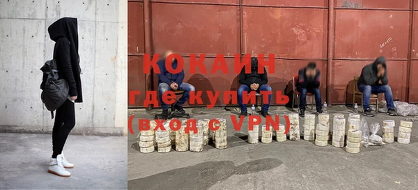 сатива Абинск