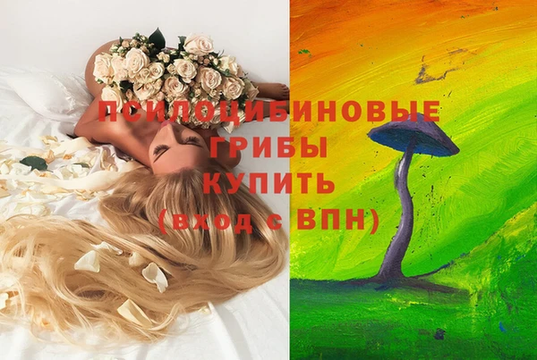 мяу мяу мука Абдулино