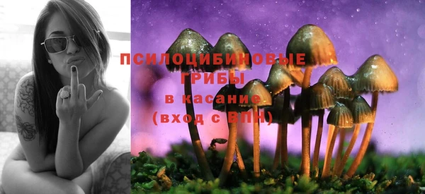 сатива Абинск